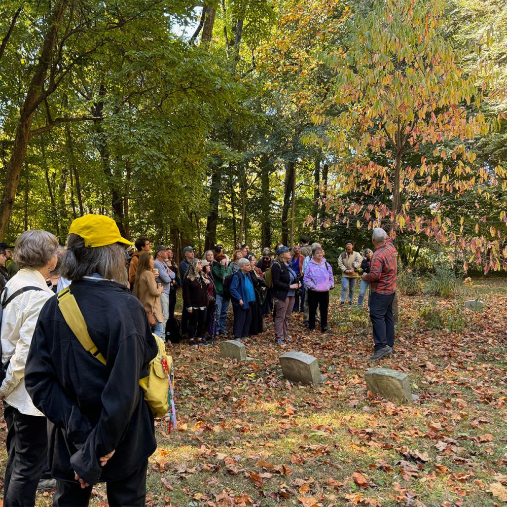 Cemetery Tree Walk October 2024 Sq