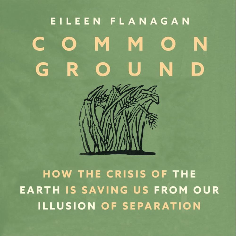 Common Ground Book Cover edit 1200sq