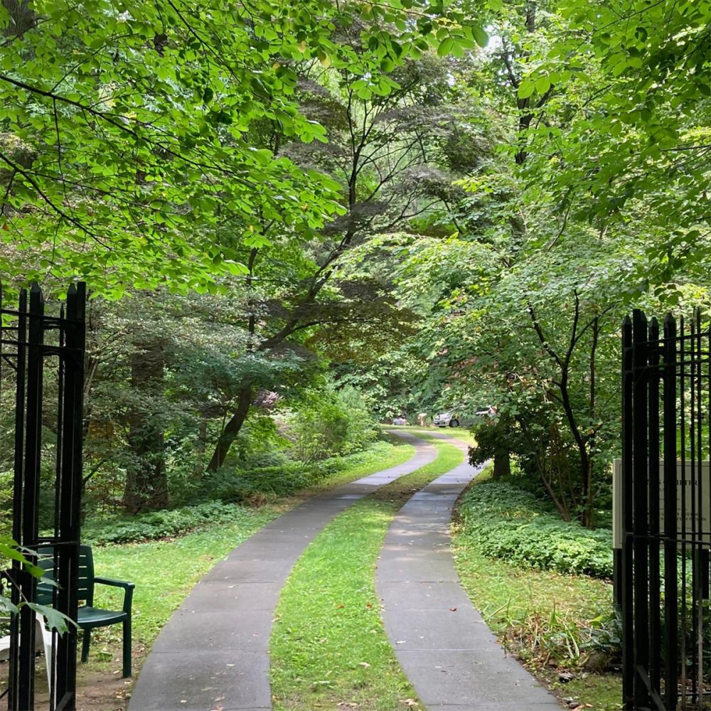 Quaker cemetery open gate 1200 Sq