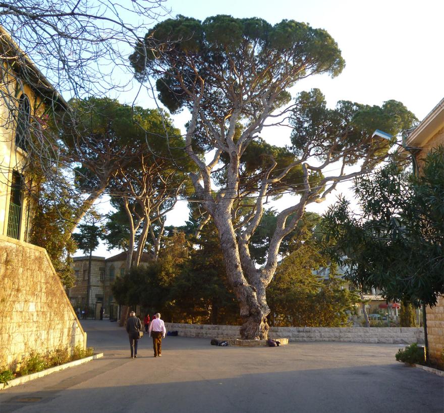 Brummana Friends School Lebanon Jan 2014 Sq