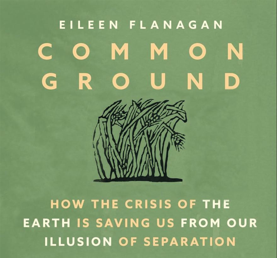 Common Ground Book Cover edit 1200sq