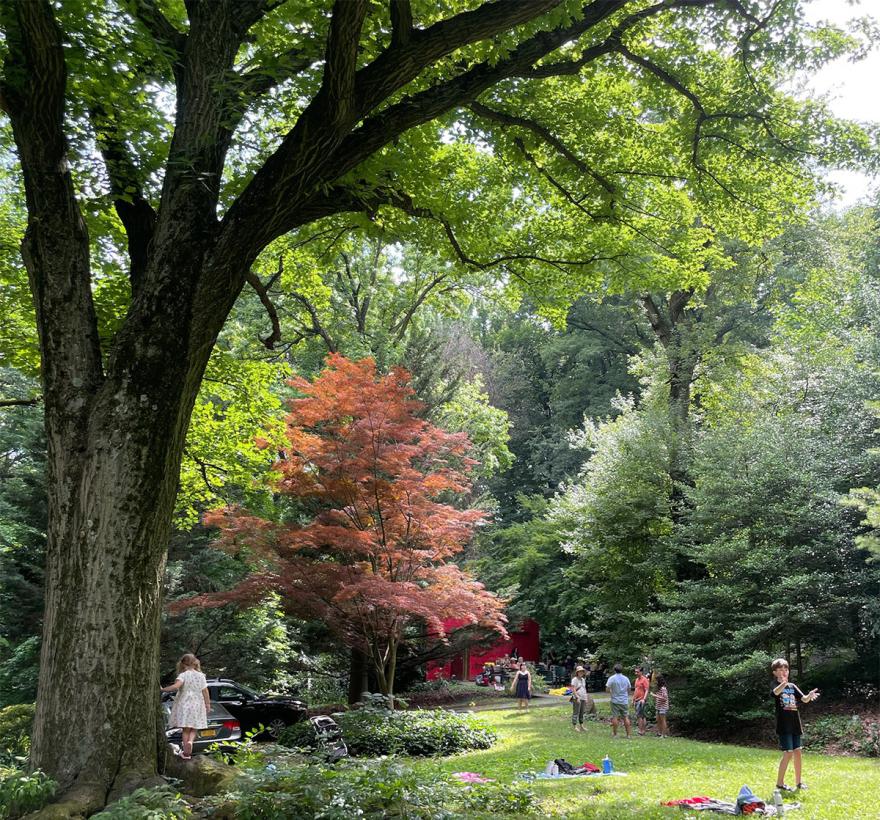Trees and kids Quaker Cemetery 1200 Sq