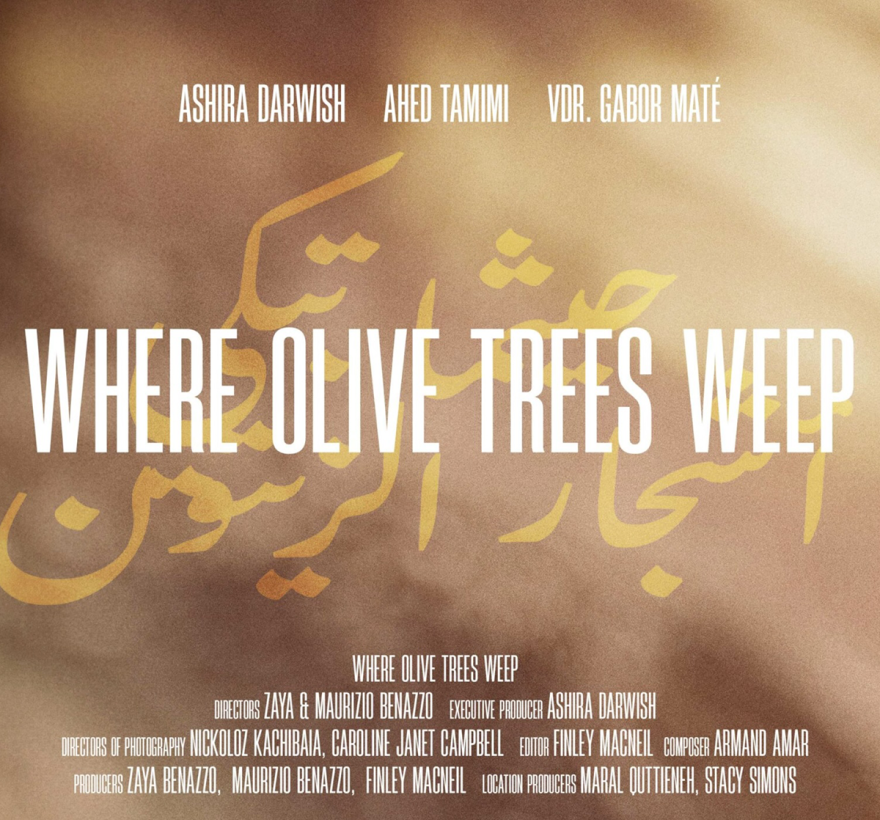 Where Olive Trees Weep